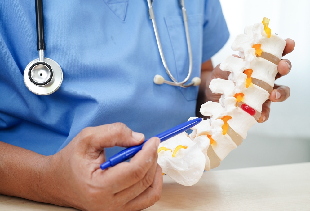 Asian,Doctor,Holding,Spinal,Nerve,And,Bone,Model,,Lumbar,Spine